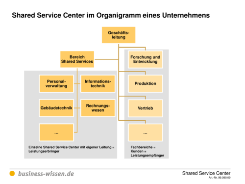 download pflegestandards