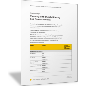 Planung und Durchführung des Prozessaudits