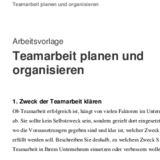 Teamarbeit planen und organisieren