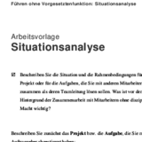 Führen ohne Vorgesetztenfunktion: Situationsanalyse
