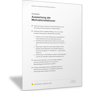 Auswertung der Motivationsfaktoren