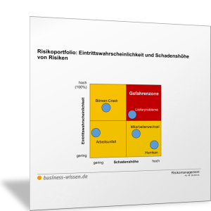 Risikoportfolio: Eintrittswahrscheinlichkeit und Schadenshöhe für ausgewählte Risiken