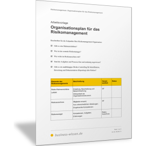 Organisationsplan für das Risikomanagement