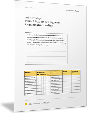 Organisationskultur beschreiben