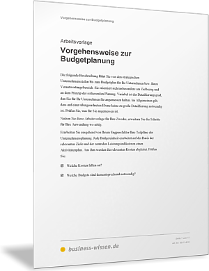 Vorgehensweise bei der Budgetplanung