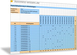 Übersicht Kapazitätsplanung für das Projektmanagement