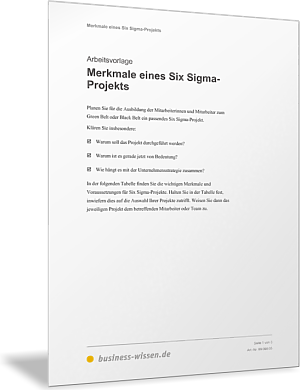 Merkmale eines Six Sigma-Projekts