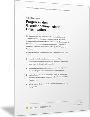 Grundannahmen der Organisation beschreiben