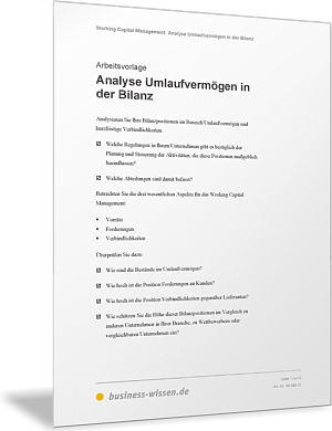 Bilanzpositionen und maßgebliche Regelungen analysieren