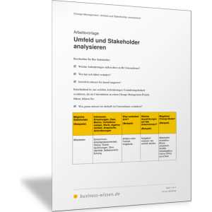 Umfeld und Stakeholder analysieren
