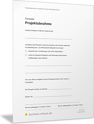 Projektabnahme