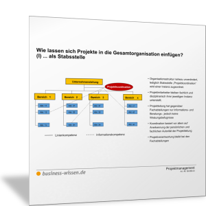 Projektorganisation im Unternehmen