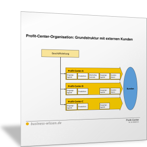 Profit-Center Organisation: Gliederung und Steuerung