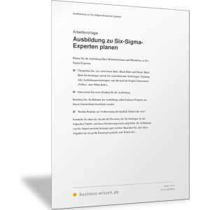 Ausbildung zu Six-Sigma-Experten planen