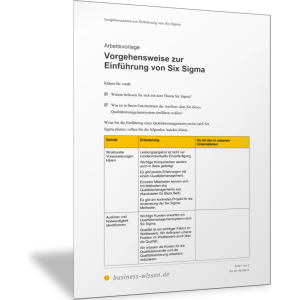 Vorgehensweise zur Einführung von Six Sigma