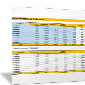 Kostenstrukturanalyse für Geschäftsfelder und nach Kostenarten