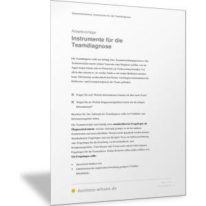 Instrumente für die Teamdiagnose