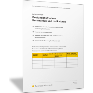 Bestandsaufnahme Kennzahlen und Indikatoren