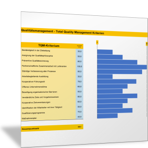 Total Quality Management Kriterien