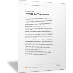 Analyse der Teamphasen