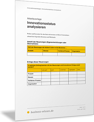 Innovationsstatus analysieren