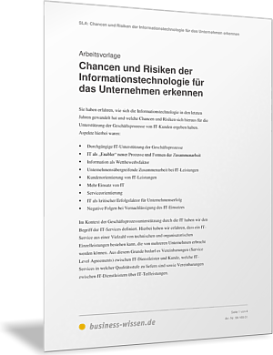 Chancen und Risiken der Informationstechnologie für das Unternehmen erkennen