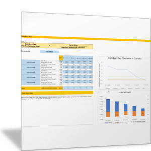 Cash Burn Rate im Unternehmensvergleich