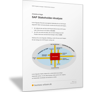 Stakeholder im SAP-Projekt analysieren