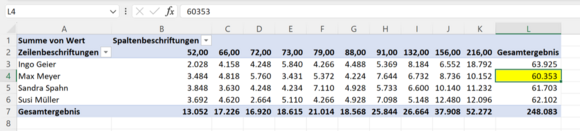 Pivot-Tabelle mit Beispieldaten