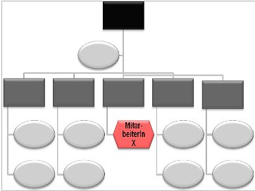 Position der Mitarbeiterin in der formalen Hierarchie der Abteilung. Quelle: cinco.systems