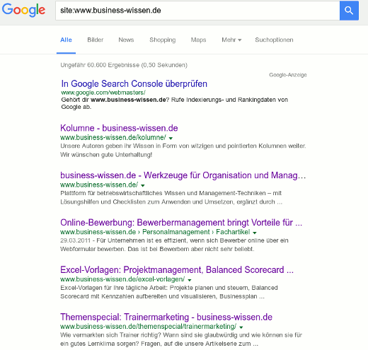 Ergebnisseite nach Eingabe des Site-Befehls zur Domain www.business-wissen.de.