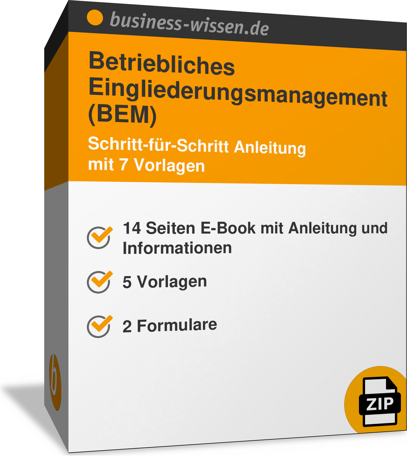 Wen Darf Ich Zum Bem Gespräch Mitnehmen BEM-Gespräch dokumentieren – Formular